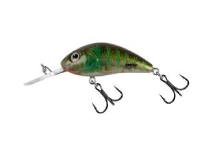 Salmo Rattlin Hornet Floating 3.5cm - 